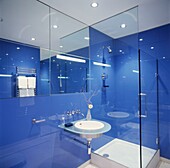 Blue bathroom with space reflecting mirror and glass shower unit