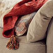 Red blanket with cushions on sofa