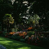 Tiered flowerbeds with palm tree and lawn in landscaped garden