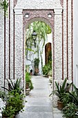 Courtyard garden with planters and lantern