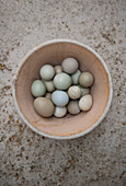 Eggs in bowl  Dordogne farmhouse  Perigueux  France