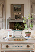 Houseplant on desk with pair of painted chairs in living room of Dordogne cottage  Perigueux  France