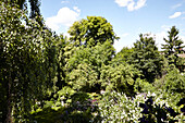 Grüner, sonnenbeschienener Garten eines Hauses in einem Londoner Vorort, England, UK