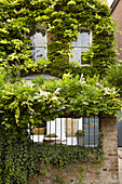Mit Pflanzen bewachsener Außenbereich einer Doppelhaushälfte London UK