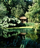 Gartenteich mit reetgedeckter Laube, umgeben von Gunnera-Pflanzen