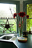 Red Christmas flowers and sink on kitchen corner unit