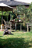 Lurcher sitzt im Gras neben den Möbeln im Garten eines Edwardianischen Backsteinhäuschens
