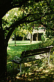 Bench seating under tree in Suffolk garden