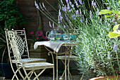 Weiße dekorative Gartenmöbel aus Metall und Wasserkrug und Gläser mit blühendem Lavendel