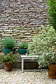 Potted plants and bench in front of stone wall
