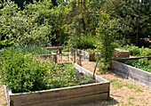 Plants in wooden containers with wooden bench in the garden