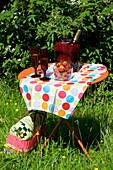 Picnic table with champagne and strawberries
