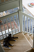 Cat lying on a staircase