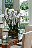 Orchidee auf gläsernem Esstisch in einem Stadthaus in West London England UK
