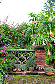 Stone balustrade and flowering plants in rural Suffolk garden exterior England UK
