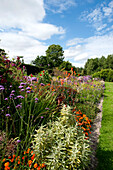 Flowering plants border lawn in grounds of rural Suffolk country house England UK