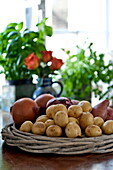 Zwiebeln und Kartoffeln in einem geflochtenen Korb in der Küche eines Bauernhauses in Suffolk, England, UK