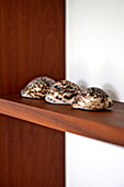 Three seashells on wooden shelf in contemporary home, Cornwall, England, UK