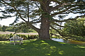 Bench seat under tree in grounds of Suffolk country house, England, UK