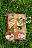 Tray of cups with pink lemonade in Brecon, Powys, Wales, UK