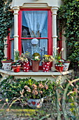 Rote Bemalung und Topfpflanzen am Erkerfenster eines Hauses in London, England, UK