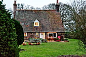 Hühner im Garten eines Cottage in Shropshire, England, Vereinigtes Königreich