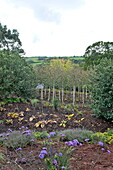 Blühende Pflanzen und Bäume in einem Garten in Hanglage, Blagdon, Somerset, England, UK