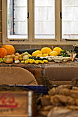 Seasonal vegetables on workbench in garden shed, Blagdon, Somerset, England, UK