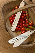 Tomatoes and plant labels in garden trug, Blagdon, Somerset, England, UK