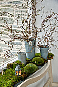 Silver baubles on twig arrangement with moss in Crantock porch Cornwall England UK