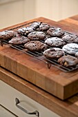 Chocolate biscuits on cooling tray in Penzance family home kitchen Cornwall England UK