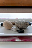 Assorted shells on ceramic tray in beach house Cornwall England UK