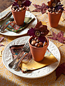 Selections of nuts in earthenware pots with fallen leaves on dining table UK