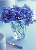 Still life with fresh blue flowers in a glass in a table setting 