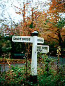 Straßenschild nach Sandy Cross am Straßenrand in einem schottischen Waldgebiet