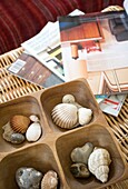 Muscheln und Zeitschriften auf einem Korb im Haus einer Familie in Tenterden, Kent, England, UK