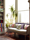 Sofa und Zimmerpflanze mit Bücherregal im Erker eines Londoner Stadthauses, Vereinigtes Königreich