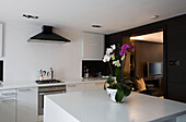 Orchid on kitchen island of modern kitchen in London home UK