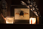 Gerahmtes Insekt und brennende Kerzen auf einem Regal mit Männerkopf in einem Londoner Haus UK