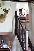 Jagdtrophäe und Leiterstufen aus dunklem Holz in einem schottischen Haus, Großbritannien