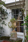 Historic stone plinth with plant detail at sash window of Sussex country home England UK