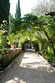 Sunlit pergola in grounds of French holiday villa
