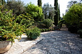 Cobbled patio terrace in grounds of French holiday villa