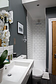 Orchid on washbasin with shower cubicle in contemporary Brighton home, East Sussex, England, UK