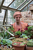 Weibliche Büste und Sukkulenten im Gewächshaus von Arundel, West Sussex, England, Vereinigtes Königreich