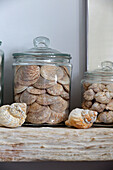 Seashells and storage jars on wooden shelf in Sussex beach house England UK