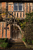 Knorriger Baumstamm an der Fassade eines Bauernhauses aus Ziegeln und Fachwerk in Hampshire (England)