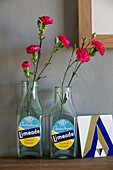 Pink carnations in bottles with geometric tile on shelf in Yorkshire home England UK