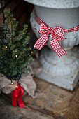 Gingham bow on garden urn with small Christmas tree on doorstep of Cheshire home UK