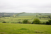 Sanfte Hügel und Ackerland in Somerset, Großbritannien